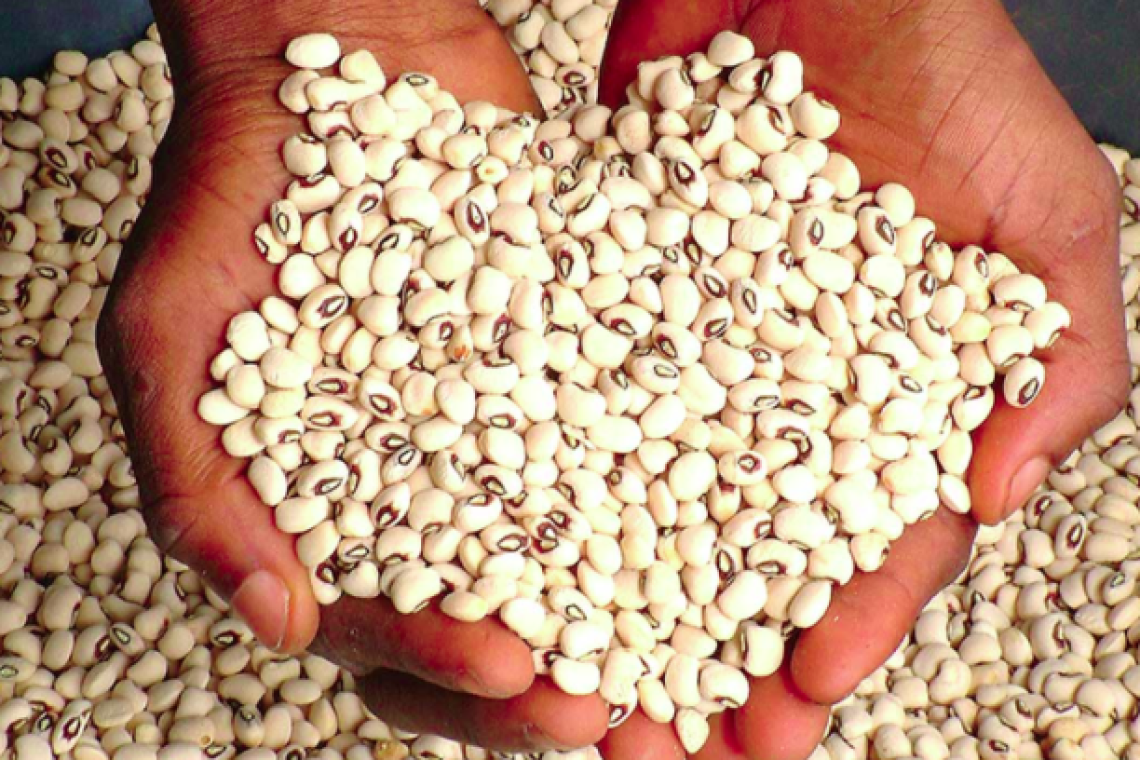 "Alien to Ghana": FDA Issues Public Health Alert Over Viral Video Showing 'Cement' in Beans
